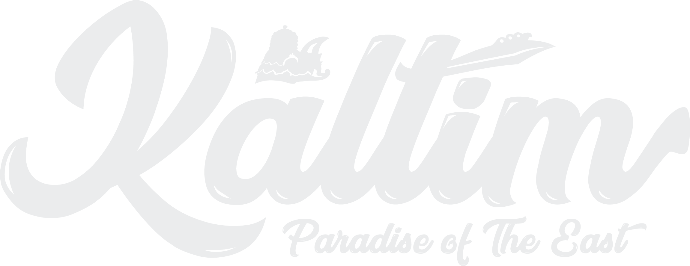 Brand Name : 